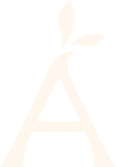 #menu-1-a4ff0f6 .hfe-menu-item { position: relative; display: inline-block; padding-bottom: 6px; text-decoration: none; color: #fff6ec; } /* Trait décalé de ~1 cm vers la droite */ #menu-1-a4ff0f6 .hfe-menu-item::after { content: ''; position: absolute; left: 10px; /* 1 cm ≈ 10px */ bottom: 2px; height: 1px; width: calc(100% - 10px); /* Réduit la largeur pour compenser le décalage */ background-color: #ffbe78; transform: scaleX(0); transform-origin: left; transition: transform 0.3s ease; } #menu-1-a4ff0f6 .hfe-menu-item:hover::after { transform: scaleX(1); } #menu-1-a4ff0f6 .current-menu-item .hfe-menu-item, #menu-1-a4ff0f6 .current_page_item .hfe-menu-item { color: #ffbe78; } #menu-1-a4ff0f6 .current-menu-item .hfe-menu-item::after, #menu-1-a4ff0f6 .current_page_item .hfe-menu-item::after { display: none; }